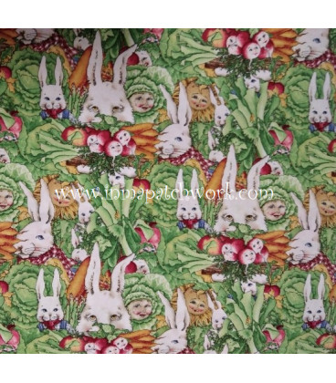 Tela Americanas  AH6611A