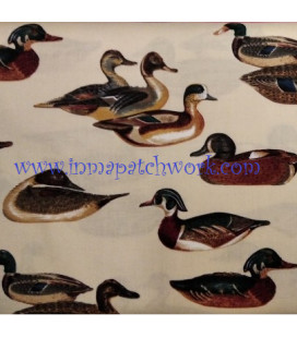 Tela Americanas  AH6611A