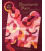 LIBRO DRUNKARD`S PATH